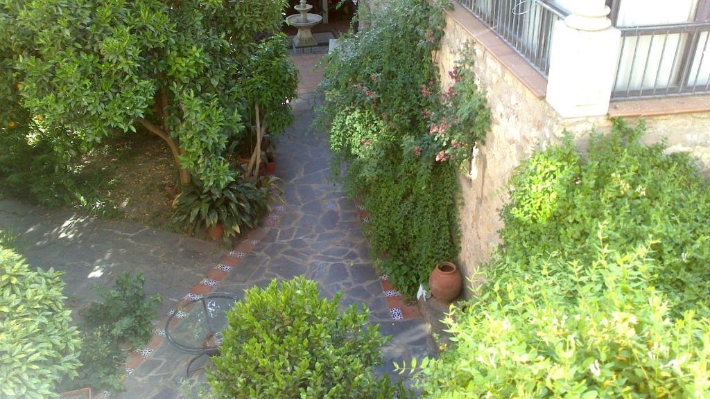 Casa Rural Corvina アセボ エクステリア 写真